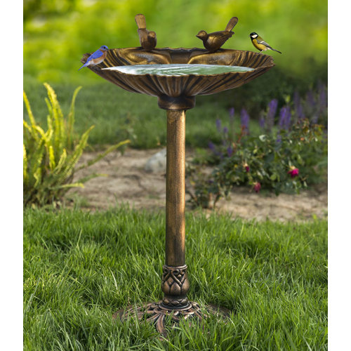 Wayfair Large Bird Baths You'll Love in 2023